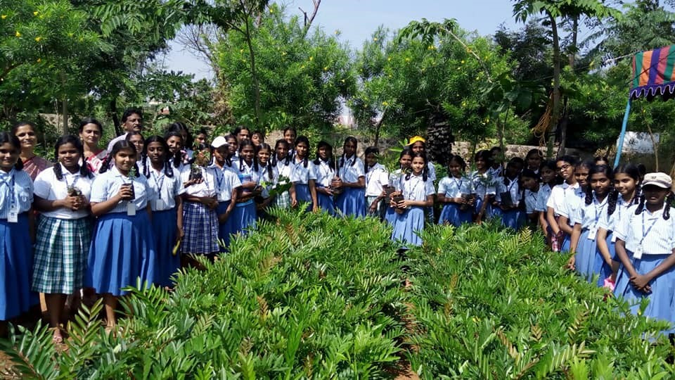 A photo from the Eco Tree Project showing saplings ready to be planted, school children gathered around to celebrate the initiative.